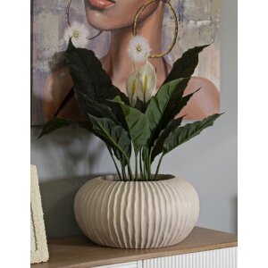 Mauro Ferretti Vază Nebel Ø35x18 cm crem