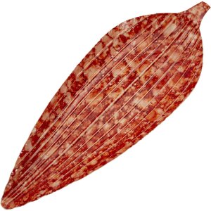 Mauro Ferretti Dekoschale Tropfen Rot 50x18x4 cm