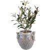 Clayre & Eef 6TE0586 Blumentopf Terrakotta Ø 25x20 cm
