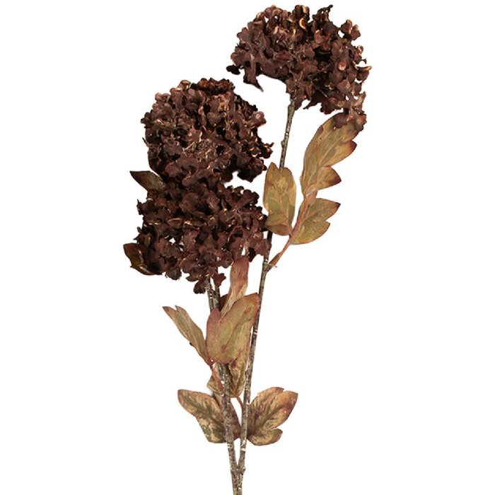 Clayre & Eef 5PL0193CH Dekoration Zweig mit Blumen 10x8x76 cm Braun