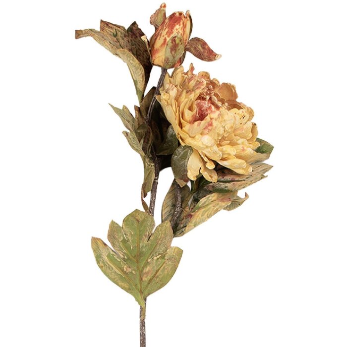 Clayre & Eef 5PL0194P Künstliche Blume 12x10x77 cm