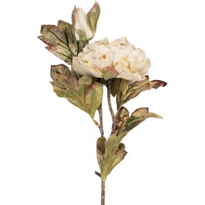 Floare Artificială Clayre & Eef 12x10x77 cm Alb-Verde