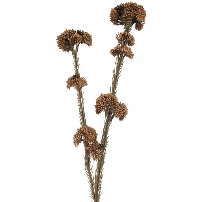 Clayre & Eef 6PL0399CH Dekoration Zweig mit Blumen 6x6x58 cm Braun und Grün