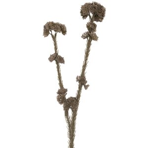 Clayre & Eef 6PL0399G Dekoration Zweig mit Blumen Grau Grün 6x6x58 cm