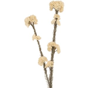 Clayre & Eef Ramură Decorativă cu Flori 6x6x58 cm