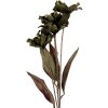Clayre & Eef 6PL0403GR Dekoration Zweig mit Blumen 8x5x60 cm Grün