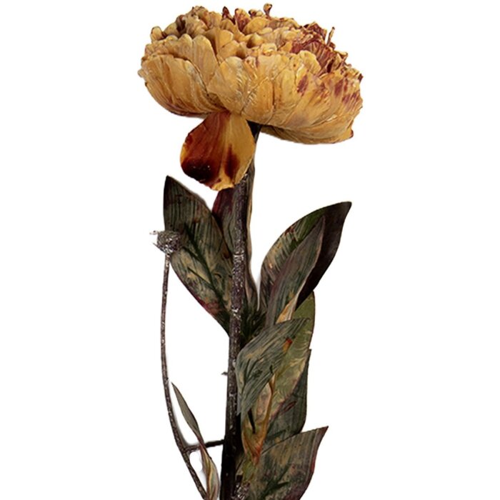 Clayre & Eef 6PL0405O Künstliche Blume 10x10x65 cm Orange & Grün