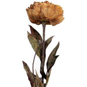 Clayre & Eef 6PL0405Y Künstliche Blume 10x10x65 cm Gelb Grün