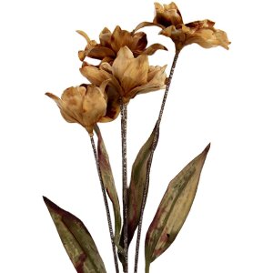 Clayre & Eef Ramă decorativă cu crenguțe și flori 8x5x60 cm maro-verde