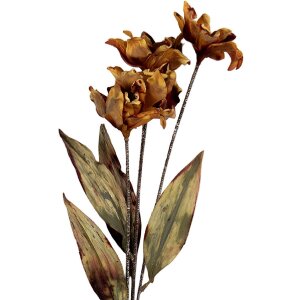 Clayre & Eef 6PL0403LO Dekoration Zweig mit Blumen 8x5x60 cm Orange