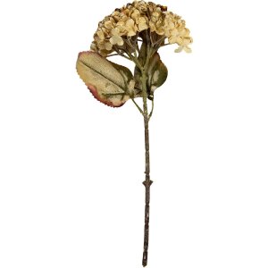 Ramură decorativă Clayre & Eef cu flori 15x15x47 cm...