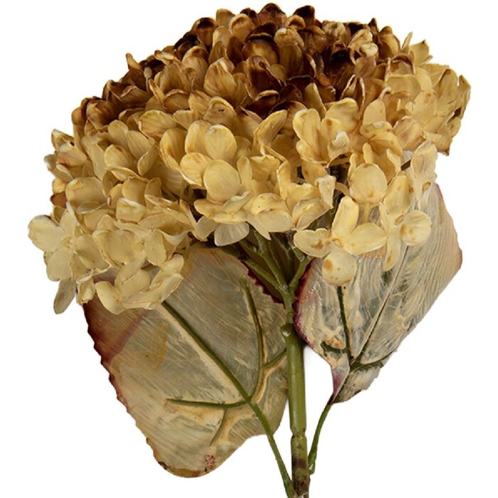 Clayre & Eef 6PL0404CR Dekoration Zweig mit Blumen 15x15x47 cm