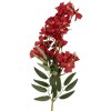 Clayre & Eef 5PL0191R Dekoration Zweig mit Blumen 10x10x72 cm Rot & Grün