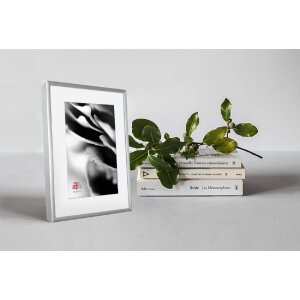 FramesFactory Ramă Foto Aluminiu 21x29,7 cm Argintie Sticlă Acrilică
