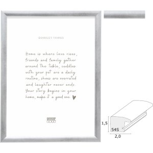 Deknudt S54SD3 Ramă Foto Argintie Lemn 6 Dimensiuni