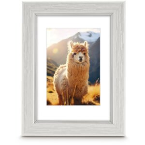 Ramă foto din plastic Lima, albă, 15 x 20 cm