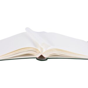 Henzo Fotoalbum MEMORY 30x36,5 cm grün 100 weiße Seiten Kunstledereinband Gold