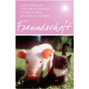 Karte Freundschaft Ferkel