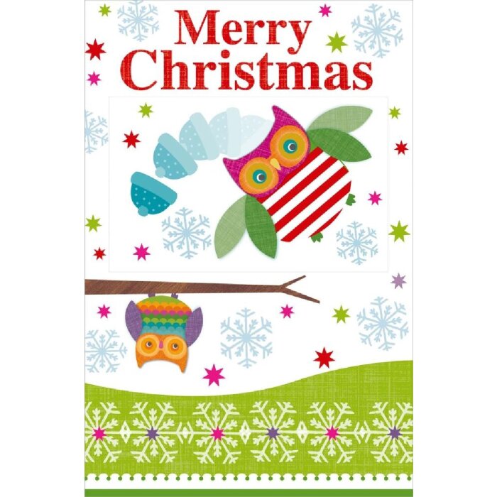 Artebene Karte Lentikularfolie Christmas Eule 3D Effekt inkl Umschlag