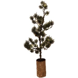 Clayre & Eef 50843 Dekoration Baum mit LED 20x17x60 cm Grün Braun