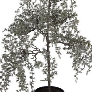 Clayre & Eef 50847 Dekoration Baum 40x40x85 cm Grün-Braun