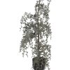 Clayre & Eef 50847 Dekoration Baum 40x40x85 cm Grün-Braun