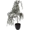 Clayre & Eef 50847 Dekoration Baum 40x40x85 cm Grün-Braun