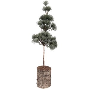 Clayre & Eef 66433 Dekoration Baum 14x14x45 cm...