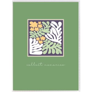 Album de inserție Aura – 32 de fotografii 13x18 cm, culoare aleatorie