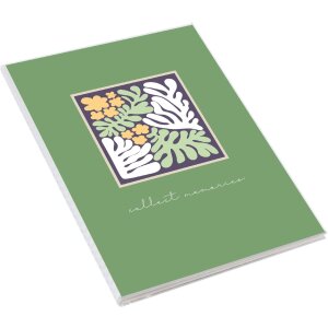 Album de inserție Aura – 32 de fotografii 13x18 cm, culoare aleatorie