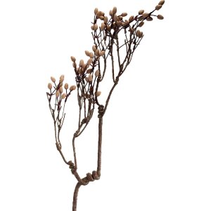 Ramură decorativă Clayre & Eef, nuanțe naturale de...