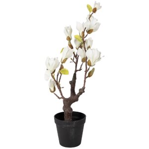 Copac de magnolie Clayre & Eef, 60 cm, alb-maroad