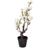 Copac de magnolie Clayre & Eef, 60 cm, alb-maroad