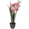 Decorativă plantă artificială Cattleya Hybrida roz-verde 55 cm