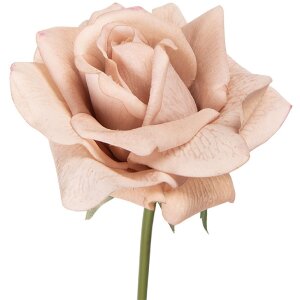 Flori artificiale Clayre & Eef roz bej-verde 10x10x35 cm