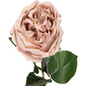 Flori artificiale Clayre & Eef Rose Beige-Grün...