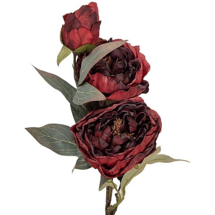 Clayre & Eef 5PL0242R – ramă decorativă cu ramură și flori roșu-verde 16x16x72 cm