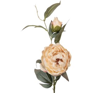 Rama decorativă cu flori Clayre & Eef, bej-verde, 14x14x83 cm