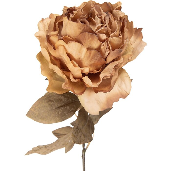 Flori artificiale Pfingstrose Clayre & Eef, 14x14x70 cm, bej-verde