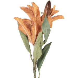 Decorație cu ramură și flori Clayre & Eef, 12x16x88 cm