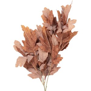 Ramură decorative Clayre & Eef, 15x22x104 cm, maro-verde