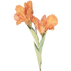 Rama decorativă cu flori Clayre & Eef,...