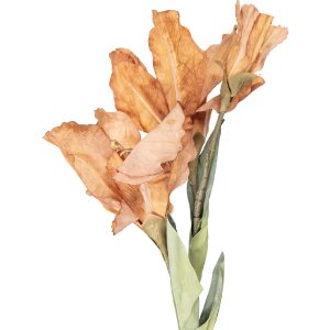 Ramură decorativă cu flori Clayre & Eef 10x18x85 cm...