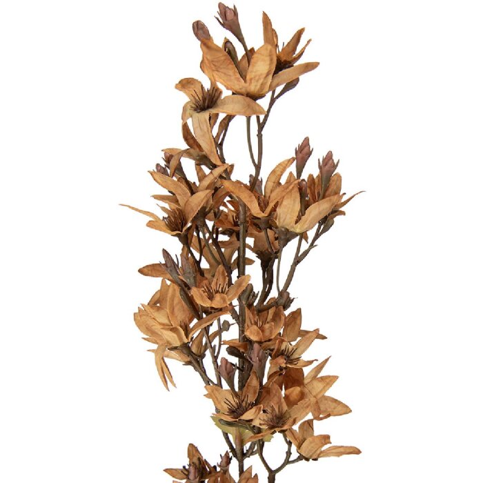 Clayre & Eef 5PL0265Y decorativ ramă cu ramură și flori 10x10x95 cm