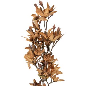 Clayre & Eef 5PL0265Y decorativ ramă cu ramură și flori 10x10x95 cm