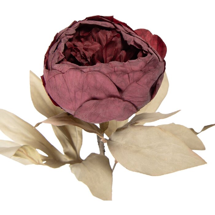 Flori artificiale Clayre & Eef roșu-verde 11x11x62 cm