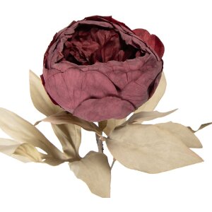 Flori artificiale Clayre & Eef roșu-verde 11x11x62 cm