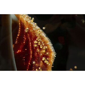 Mauro Ferretti - Imagine pe canvas ILLUMY cu ramă 62x3,5x92 cm