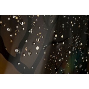 Pictură de perete Mauro Ferretti „Păun” – ramă decorativă din lemn 70x100 cm