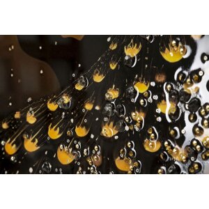 Pictură de perete Mauro Ferretti „Păun” – ramă decorativă din lemn 70x100 cm